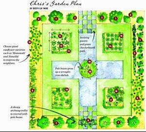 Chris Garden Plan