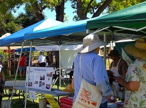 Repair-Cafe-at-Eart-and-Arts-Festival