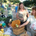 Share Faires at the Park