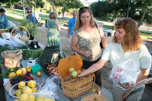 Share Faires at the Park