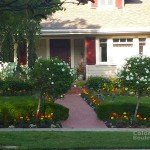 A beautiful house in the neighborhood