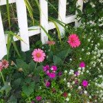 A real life postcard