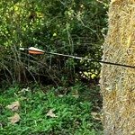 Arrow hitting straw bale