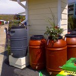 Free rain barrel