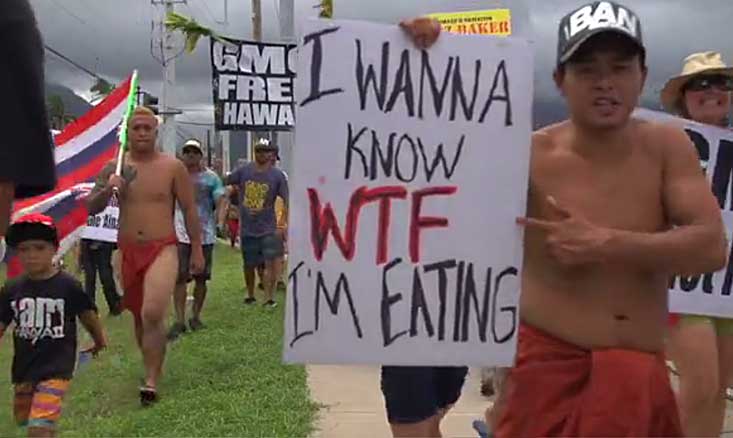 Maui protest against GMO (Photo - Shaka movement video).