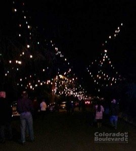 Altadena Tree Lane (Photo - Staff)..