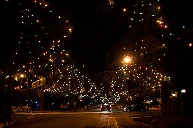 Altadena Tree Lane