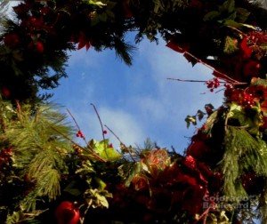 Clouds (Photo ©Natalia-L.-Rudychev).