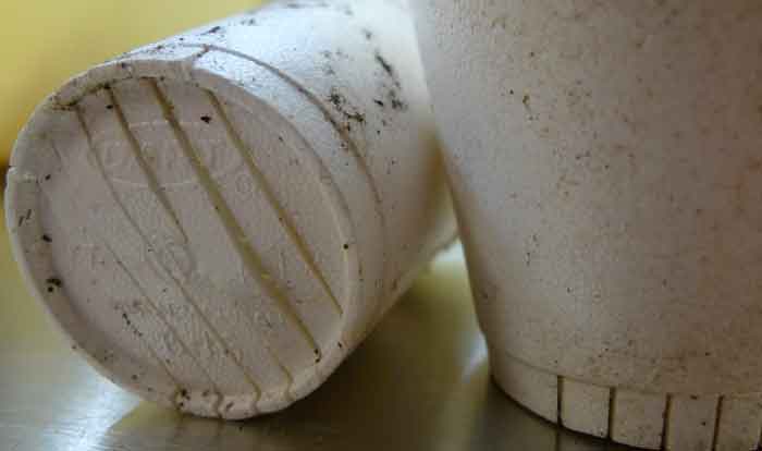 Styrofoam ban (Photo - Ted Major, Flickr).