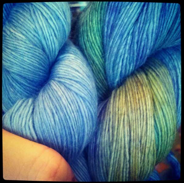 Hank (closeup) (Photo - Robin Southworth).