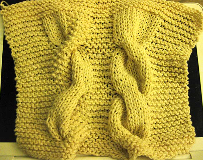 My Cabled Sample (Photo - Robin Southworth).