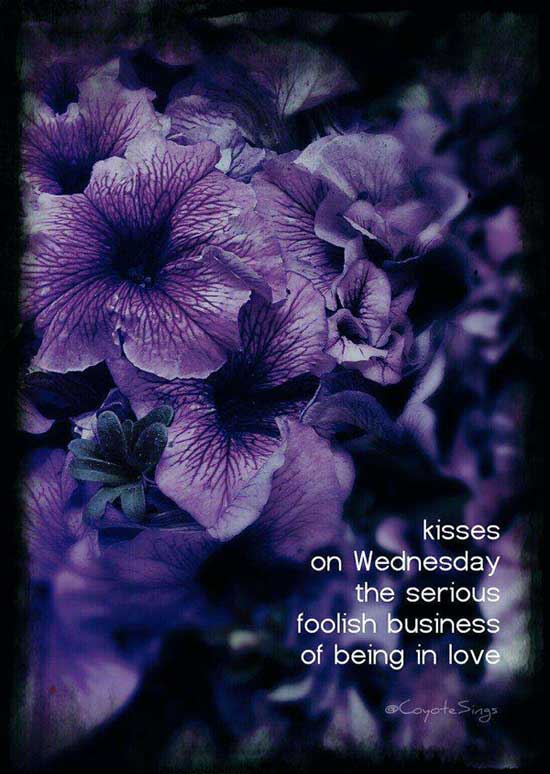 Roary Williams poem.