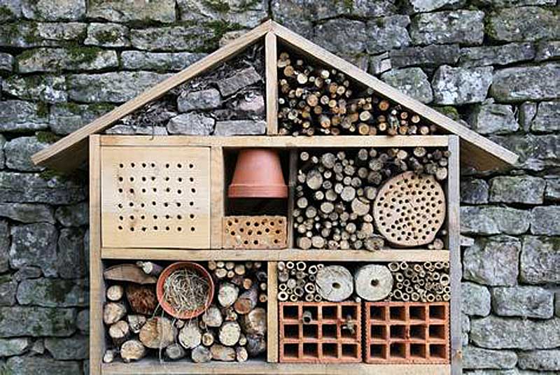 Bee hotel (Photo - rodalewellness.com).