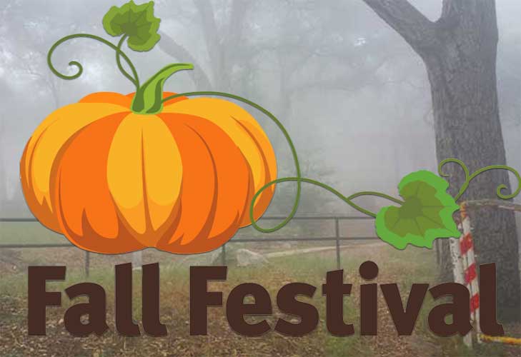 Fall Festival 2