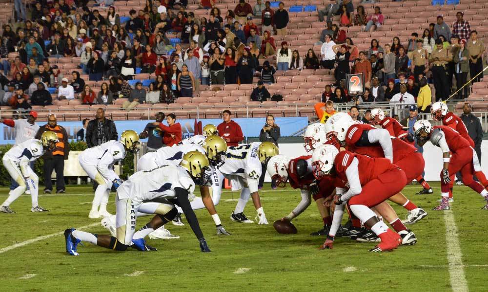 Turkey Tussle (Photo - pusd.us)