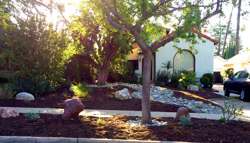 Drought-Tolerant Landscaping in Pasadena (photo - .greensplendorlandscaping.com)