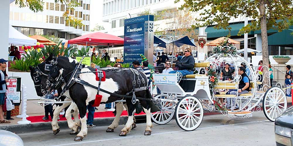 Horse & Carriage Ride on South Lave Ave. (Photo - southlakeavenue.org)
