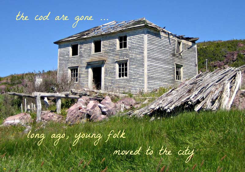 "The cod are gone" by Robert Franson.