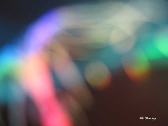 Amaranth (Photo – Debbie Strange).