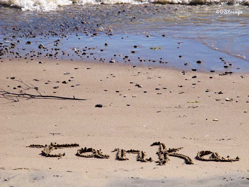 (Photo - Debbie Strange).