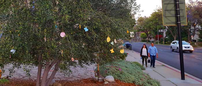 Wishing Trees at Throop Memorial Garden (Photo - Melanie Hooks).