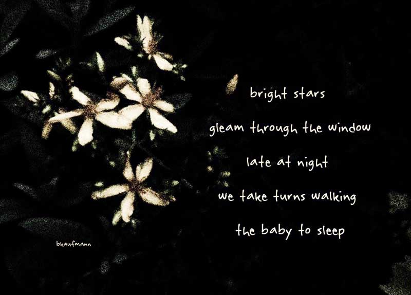 Haiga by Barbara Kaufmann.