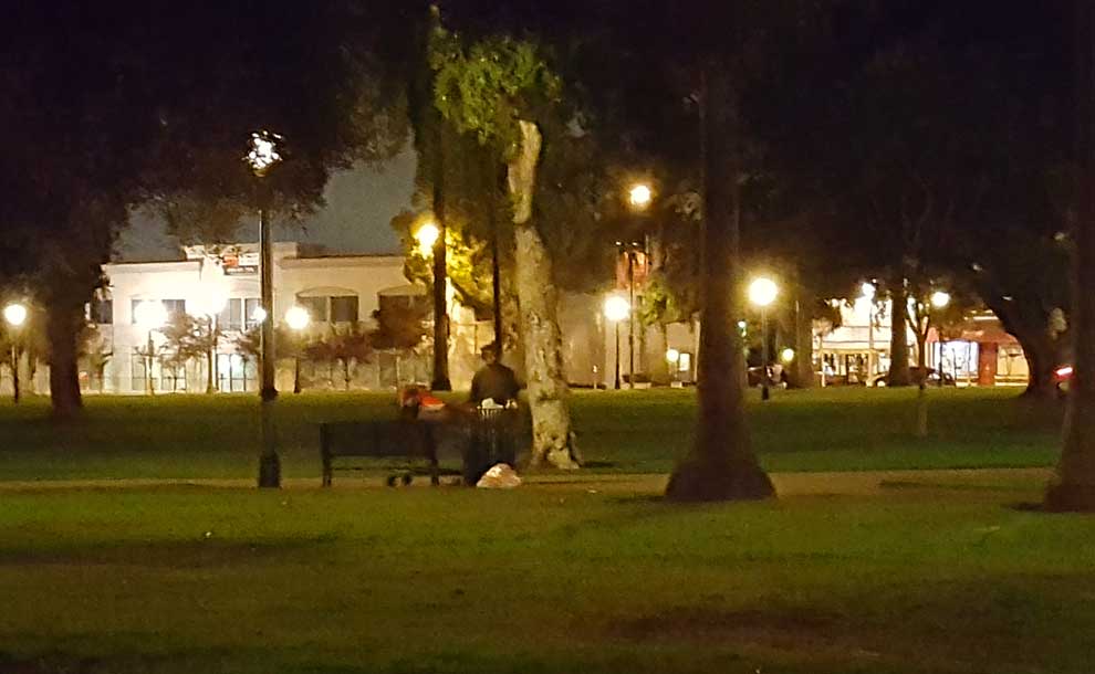 Pasadena Central Park (Photo -Staff).