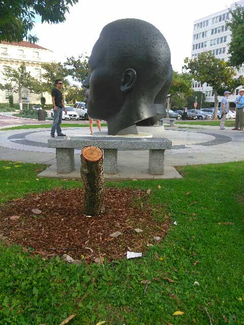 A tree used to be there (Photo - George Patton).