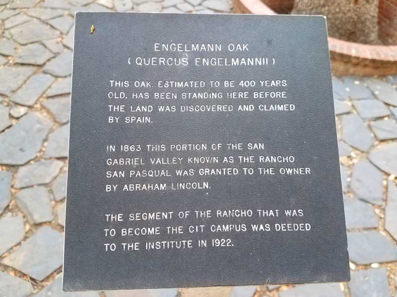 Photo - Kathabela Wilson.